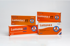03. Lumona